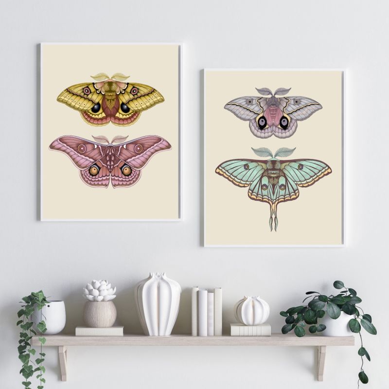 Antique Luna & Automeris Frankae Moths Fine Art Print A3 image