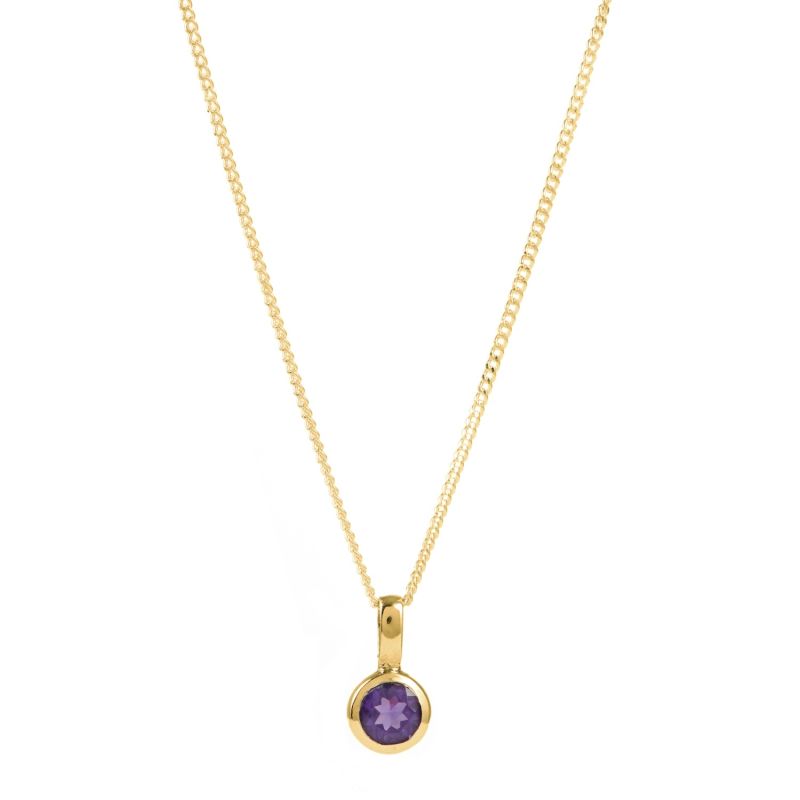 February Birthstone Charm Gold Vermeil Necklace - Amethyst image