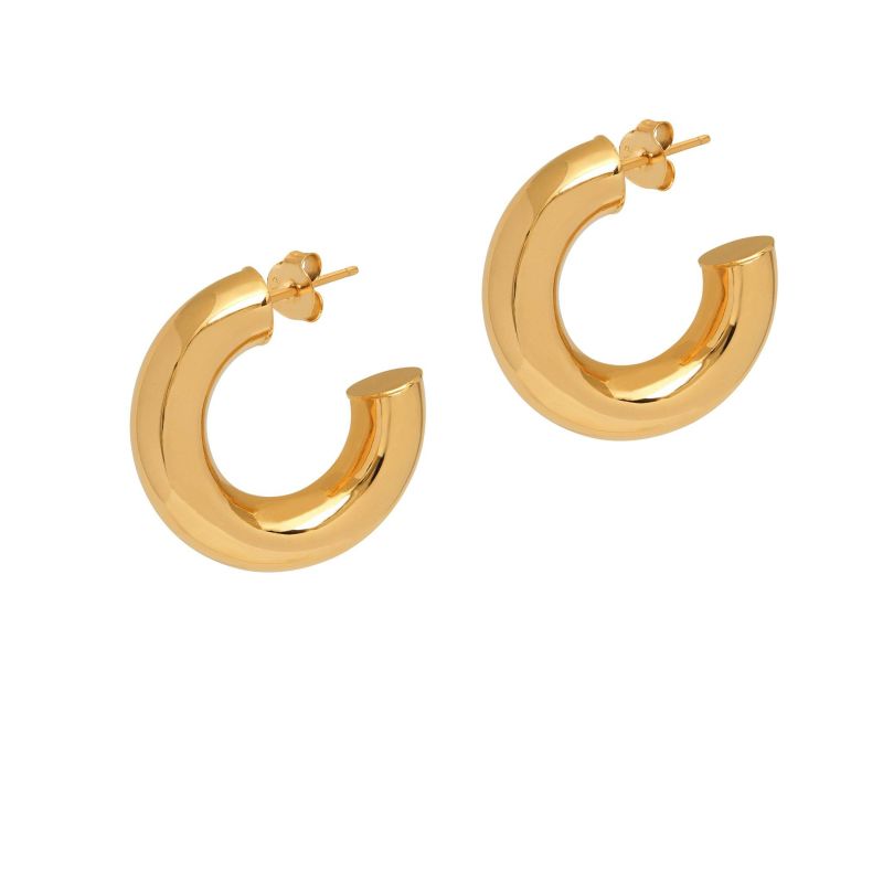 Chunky Butterfly Hoop Earrings Small Size image