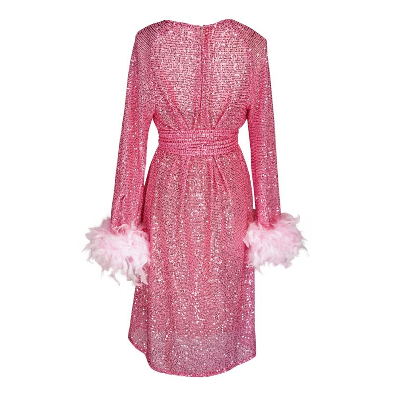 Flamingo Sequin Raglan Dress image