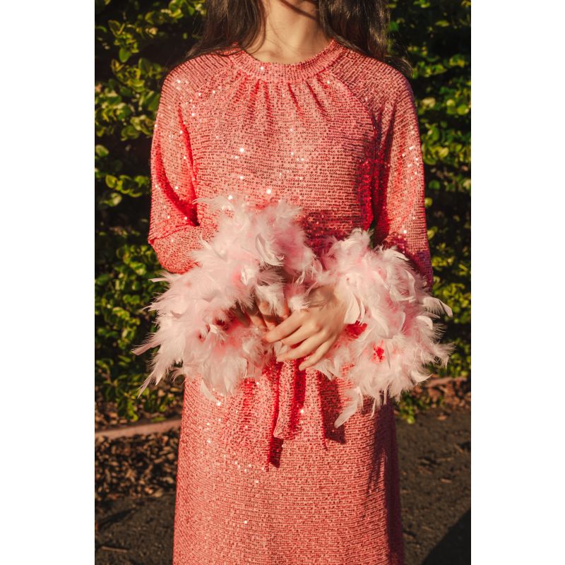 Flamingo Sequin Raglan Dress image