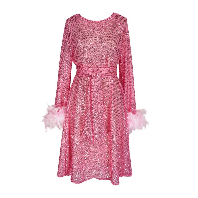 Flamingo Sequin Raglan Dress image