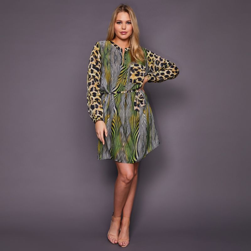 Lulu Shirtdress In Green Animal Prints image