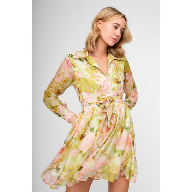 Floral Mini Dress In Limelight image