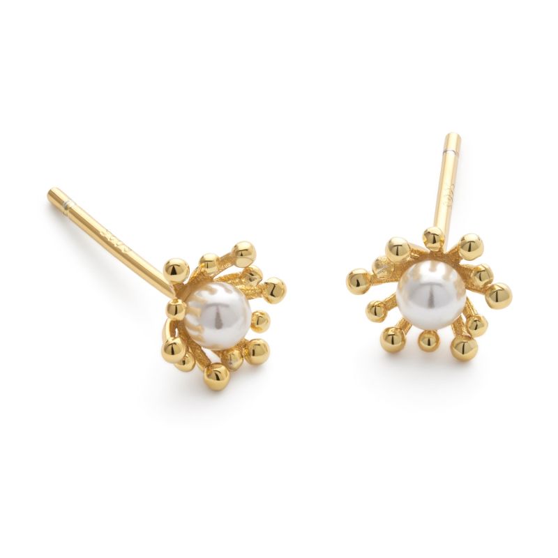 Flower Pearl Floral Gold Earrings image