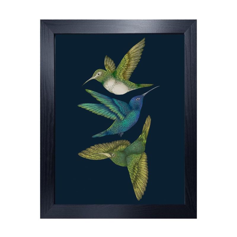 Antique Hummingbirds Iii Indigo Fine Art Print - A4 image