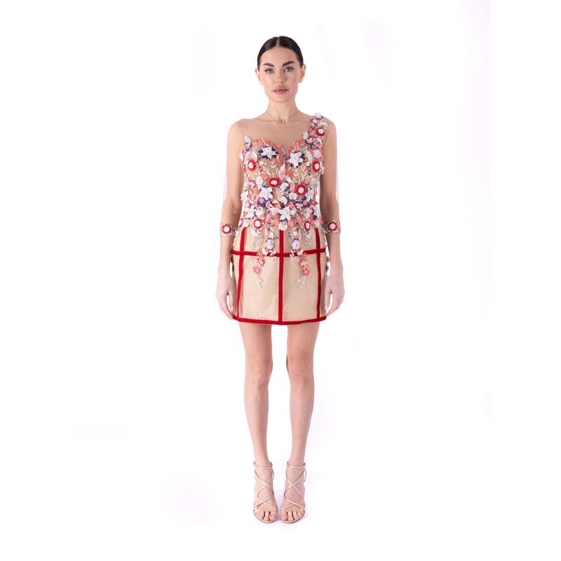 Freida Mini Dress With Flowers Applique - Multicolor With Red Stripes image