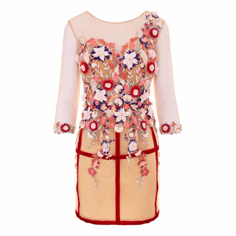 Freida Mini Dress With Flowers Applique - Multicolor With Red Stripes image