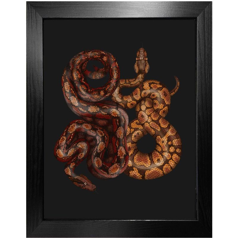 Antique Python & Viper Fine Art Print A3 image