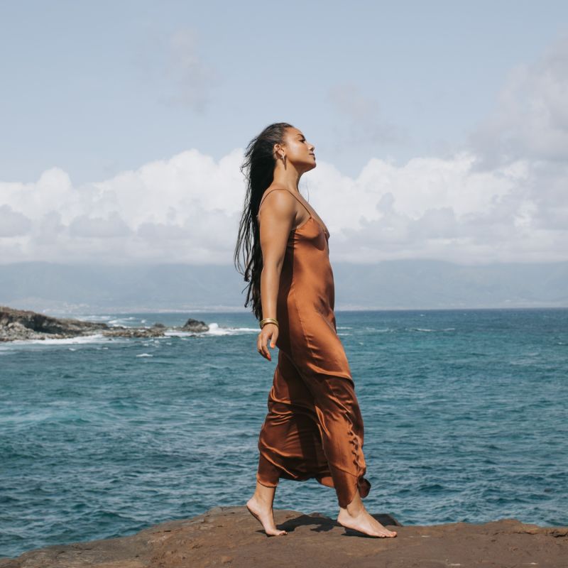 The Prairie Wildrye Slip Dress In Tobacco image