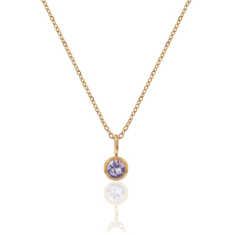 Gold Birthstone Necklace - February image