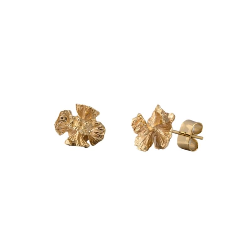 Gold Yellow Cedar Cone Stud Earrings - 14k Yellow Gold image