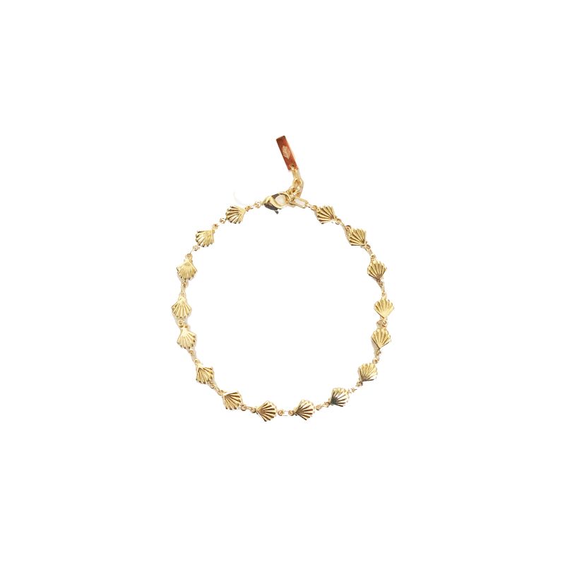 Golden Shells Anklet image