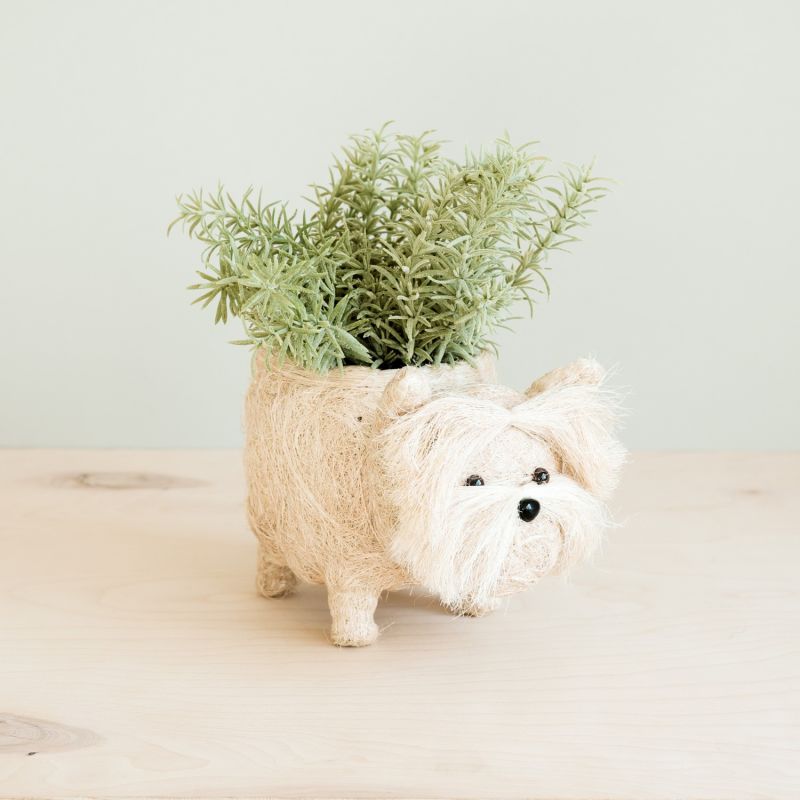 Coco Coir Animal Planter - Westie image