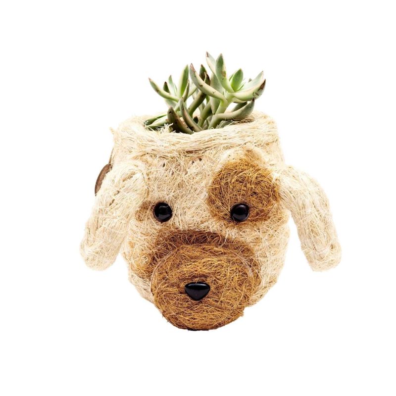 Coco Coir Mini Pot Puppy image