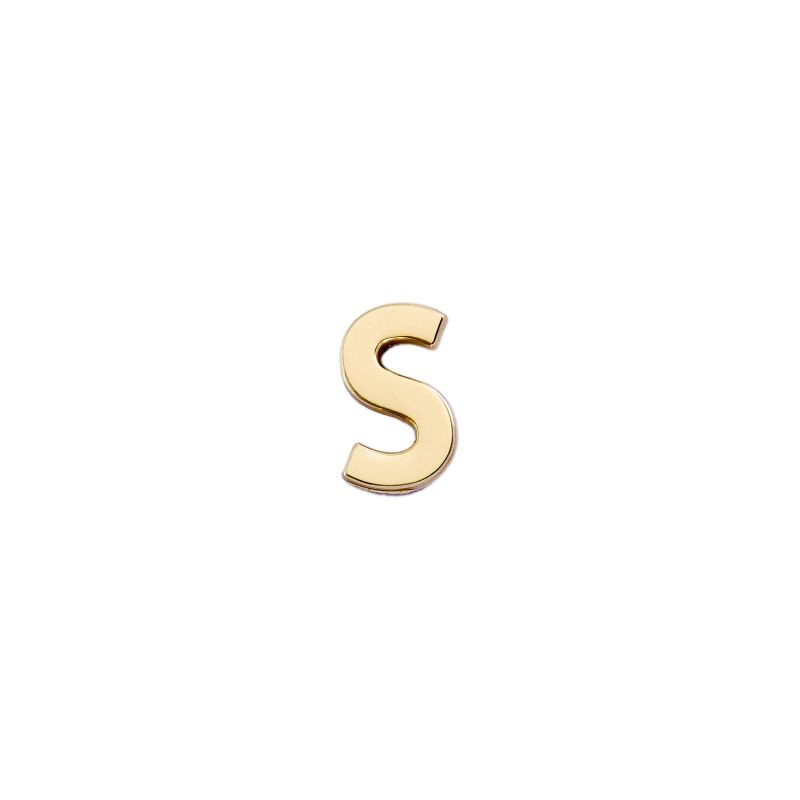 Golden Letter S Pin image