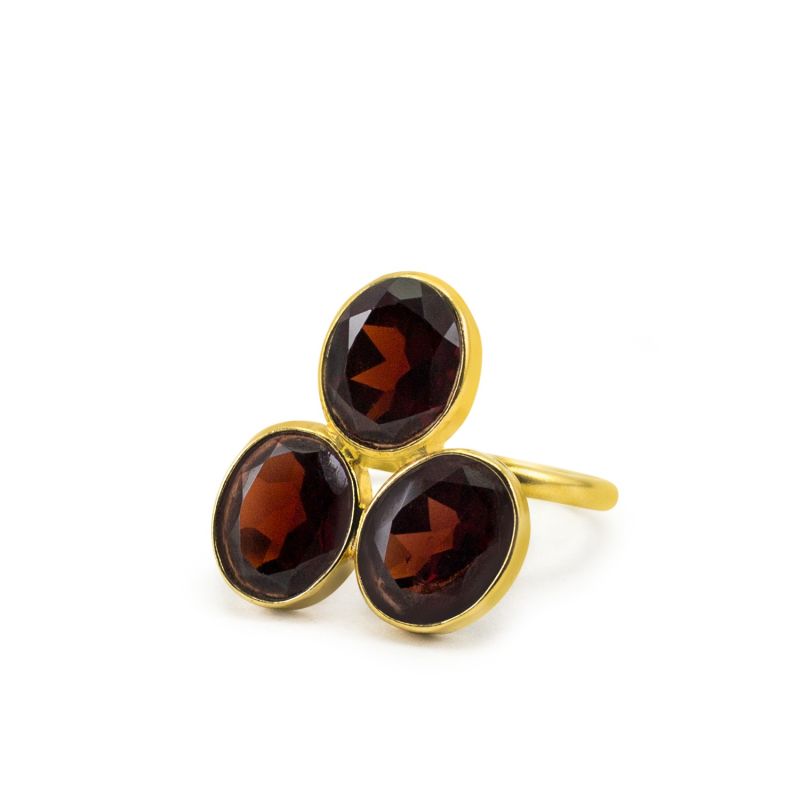 Pompei Garnet Gold Ring image