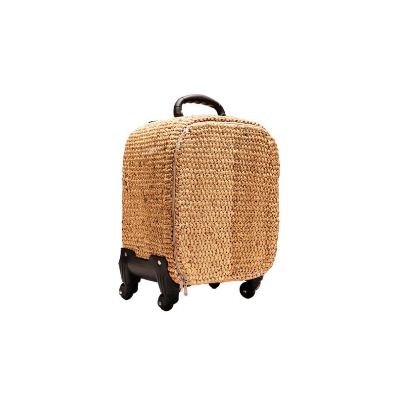 Handwoven Palm Print Luggage image