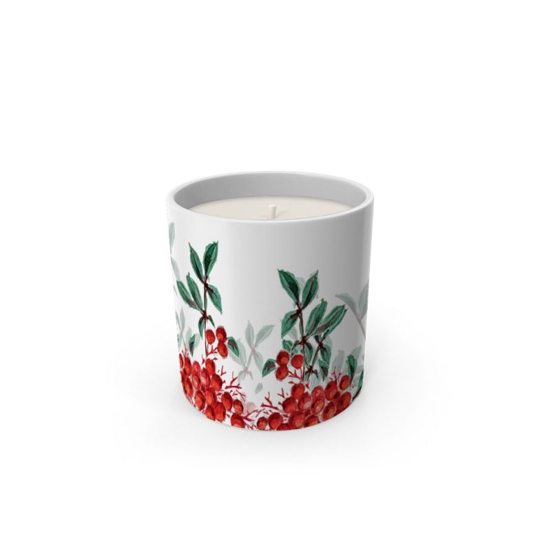 Red Berry Collection Candle / Cinnamon Scented With Gift Box image