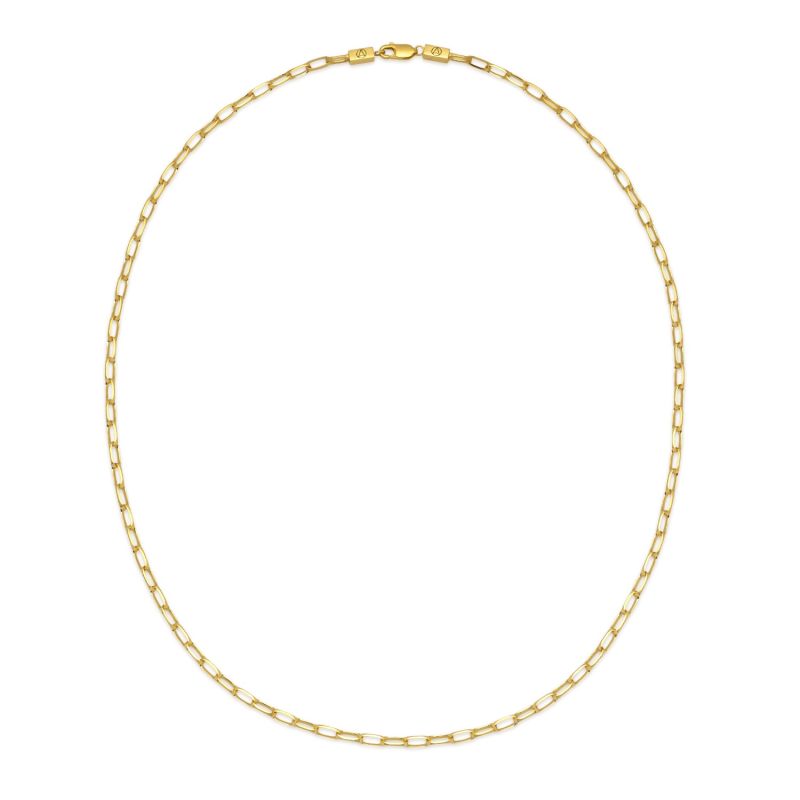 Chain Link Necklace In Gold image