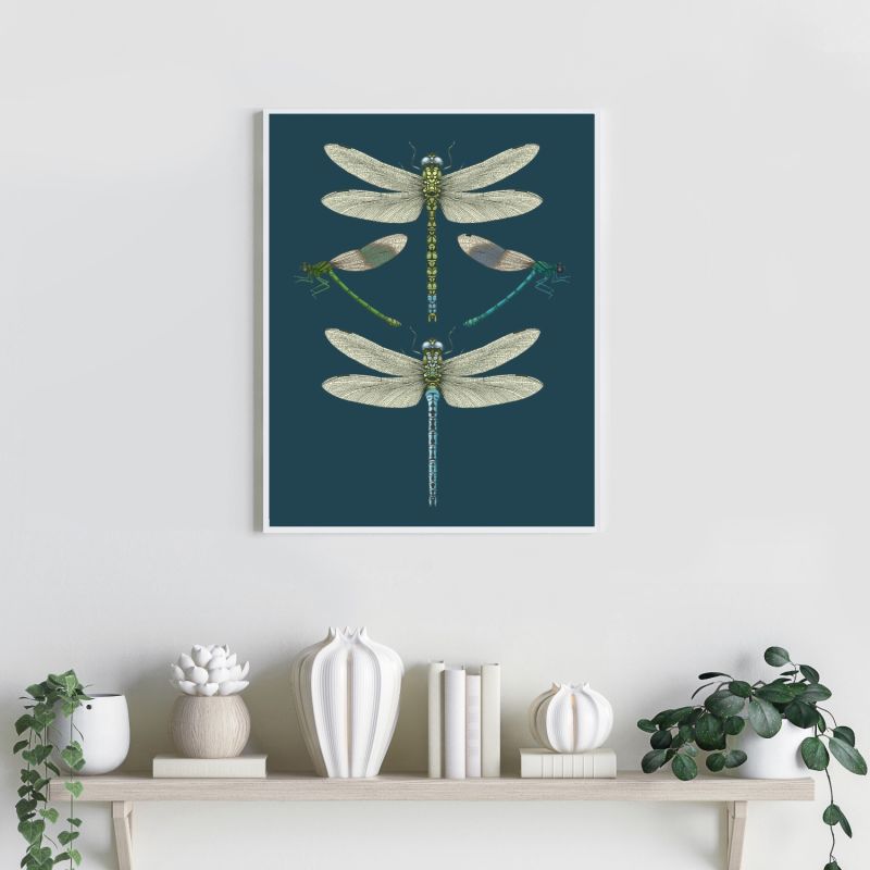 'Dragonflies & Damselflies - Navy' Fine Art Print A3 image