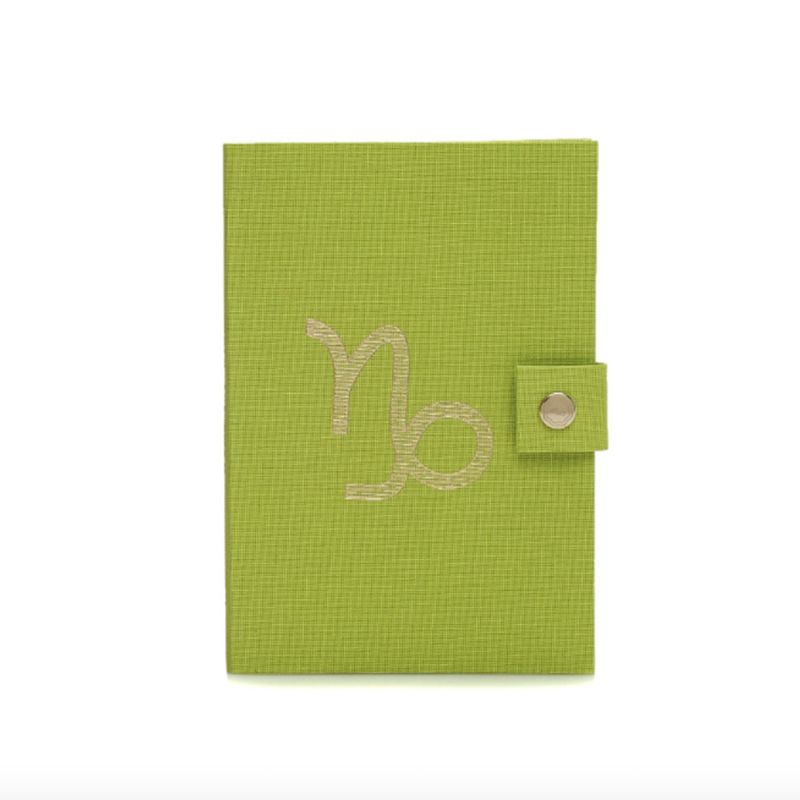 Capricorn Notebook image