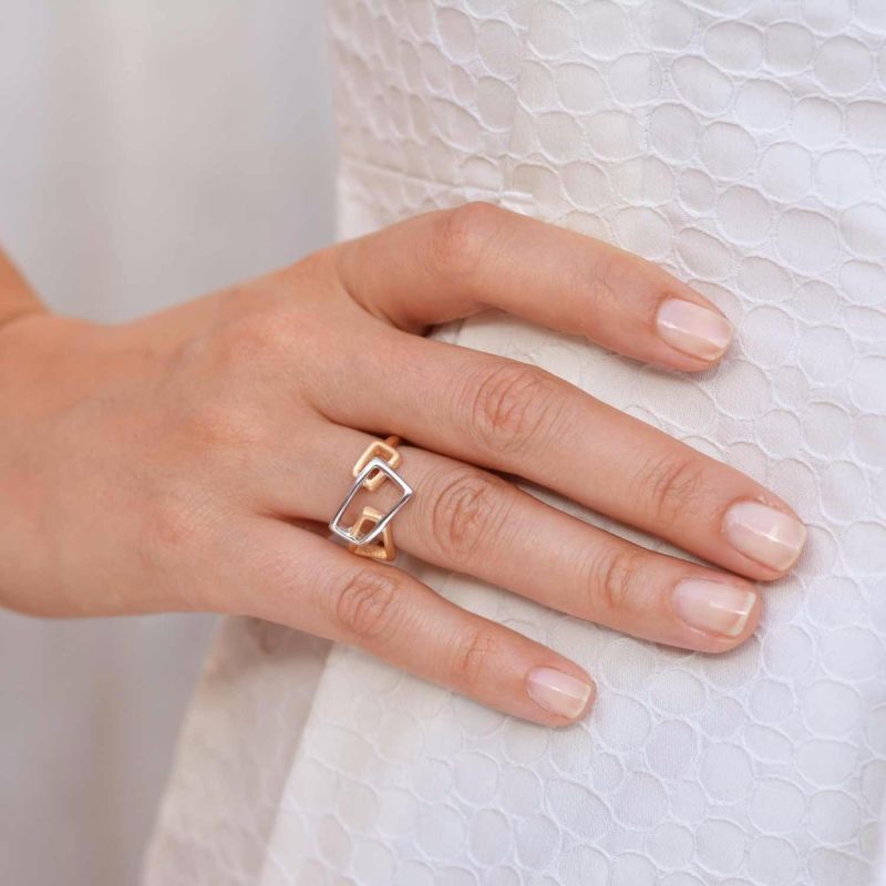 Gold & Sterling Silver Ring Geo image