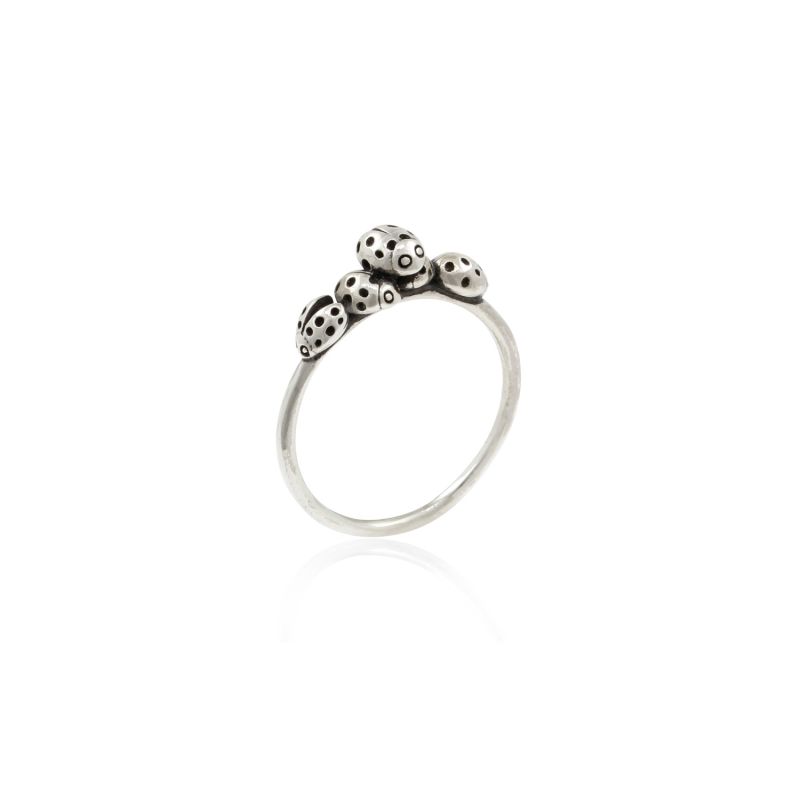 Loveliness Of Ladybirds Ring - Silver image