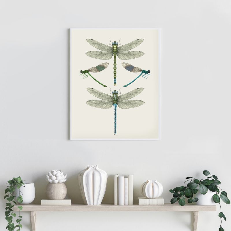 'Dragonflies & Damselflies - Cream' Fine Art Print A4 image