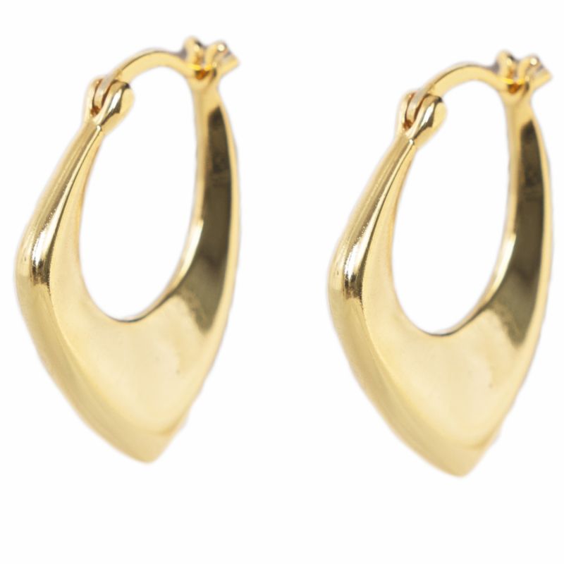 Ippo Earrings - Gold image