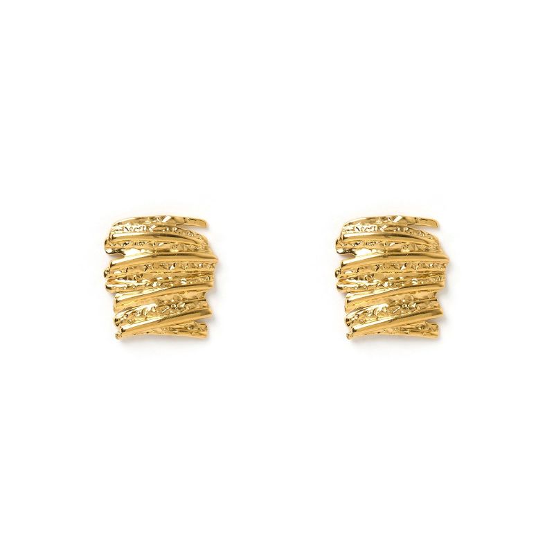 Iris Gold Earrings image