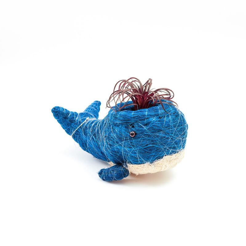 Coco Coir Animal Planter Baby Whale image