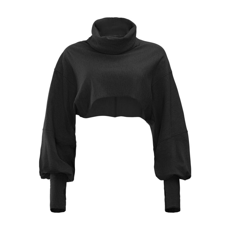 Jarra Cropped Turtleneck Sweatshirt image