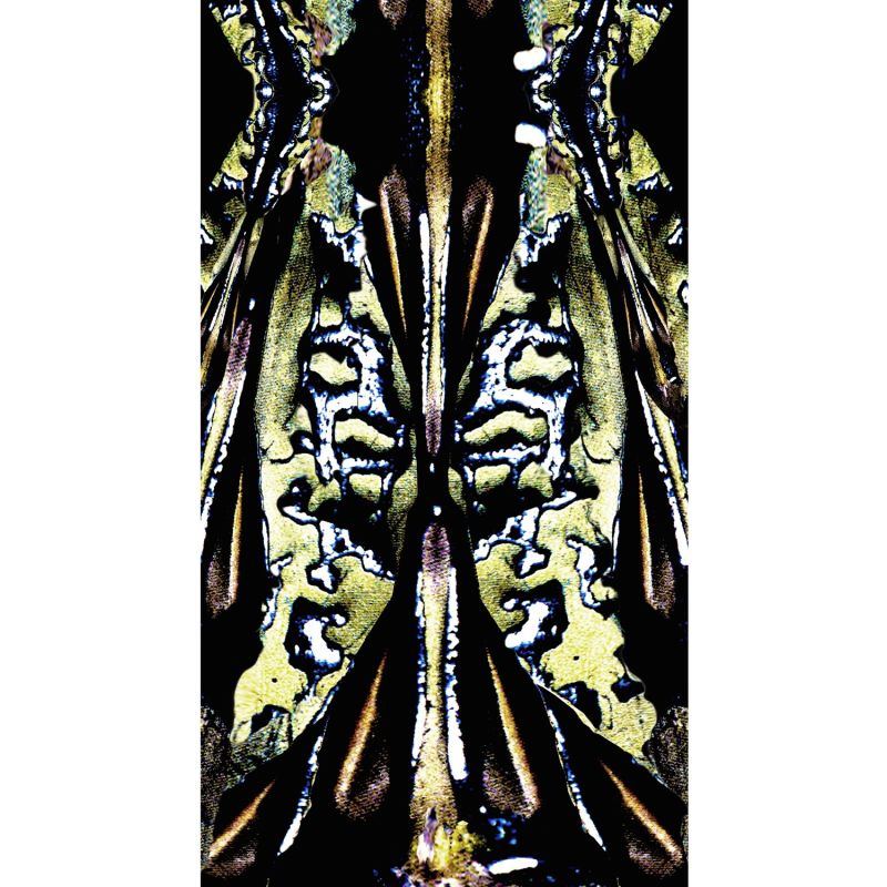 Beetle Shell & Oil Green Large Silk Scarf image