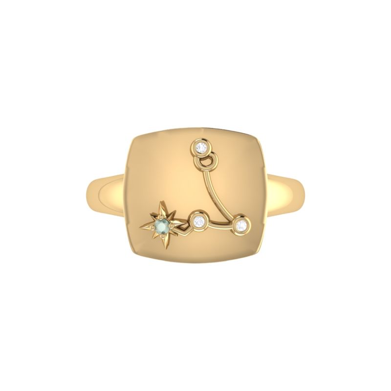 Pisces Two Fish Constellation Signet Ring In 14 Kt Yellow Gold Vermeil image