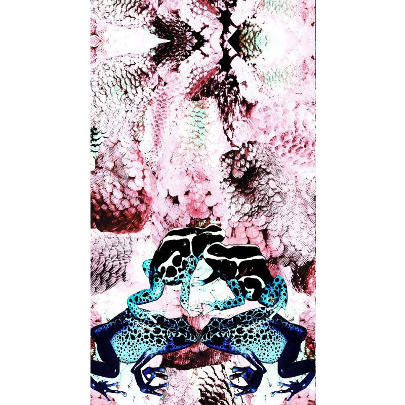 Frogs & Feathers Pink Large Silk Scarf image