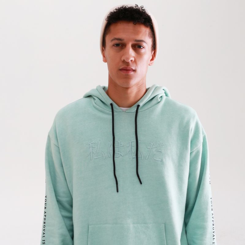 Mint Green Mount Fuji Hoodie image