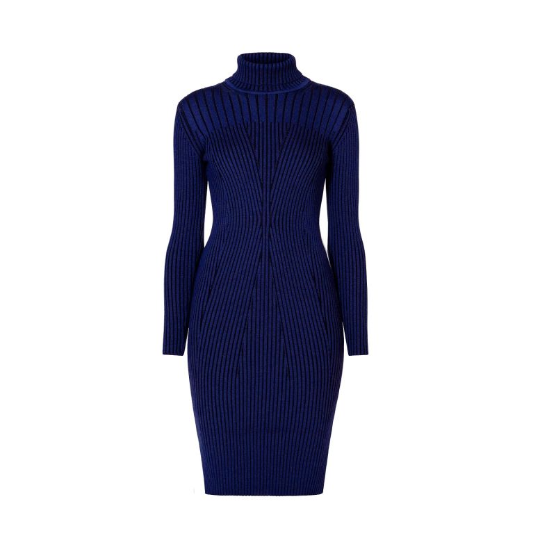 Cleo Blue Two-Tone Ribbed Knit Dress image