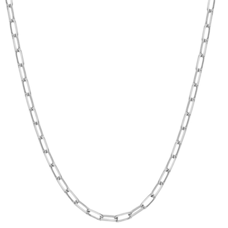 Chain Link Necklace In Silver image