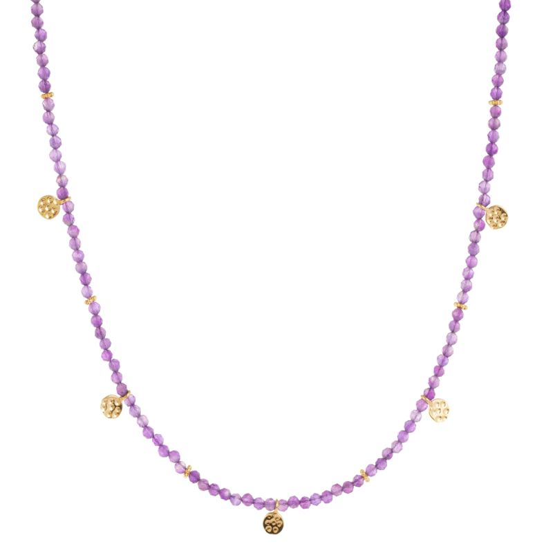 Eva Amethyst Reversible Necklace With Gold Discs image