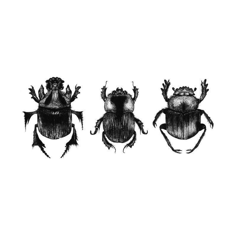 'Dung Beetles' - Fine Art Print A5 image