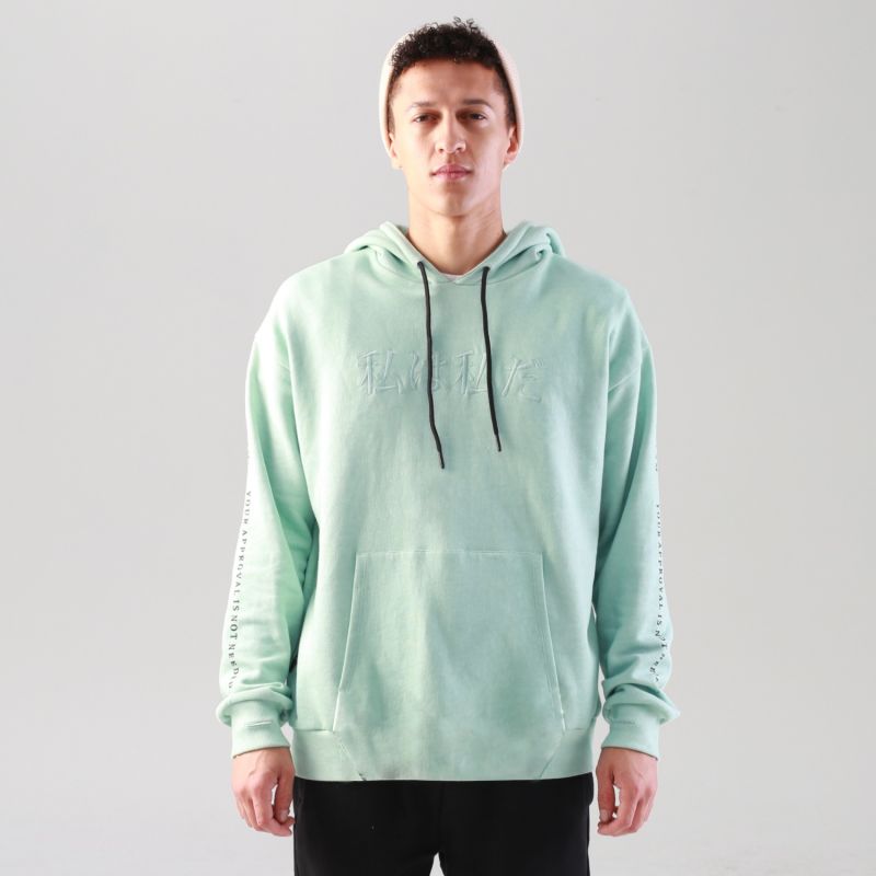 Mint Green Mount Fuji Hoodie image