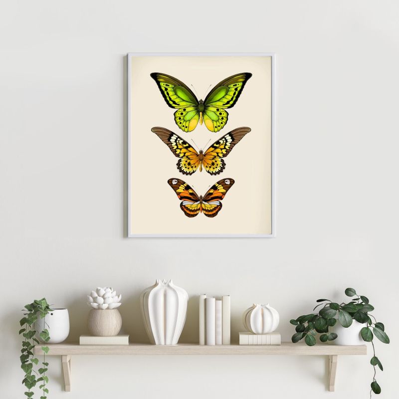 'Antique Tropical Butterflies Vi' Fine Art Print A3 image