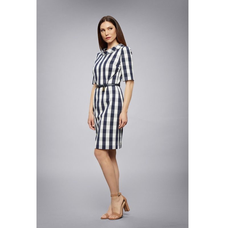 Juliette Navy Stretch Cotton Gingham Dress with Raised Collar image