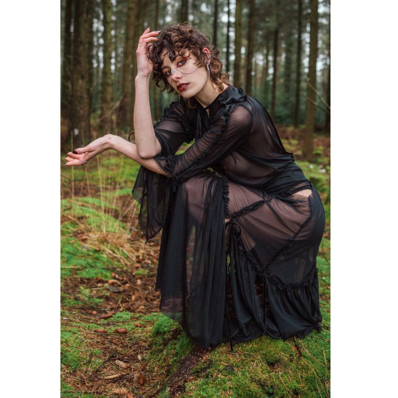 Black Lacewing Dress image