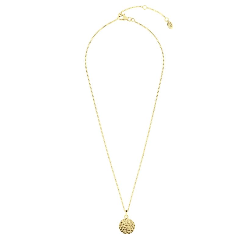 Lakshmi Hammered Disc Gold Vermeil Necklace image