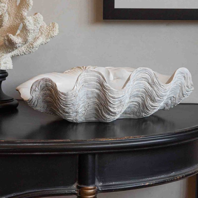 Giant white clam shell deals
