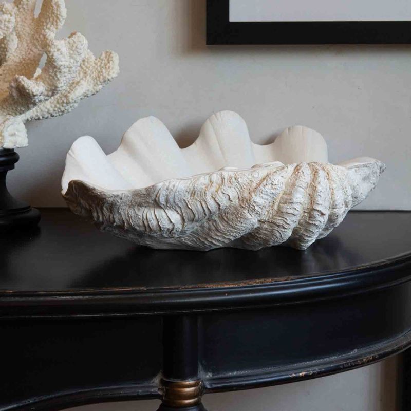 Resin clam shell cheap