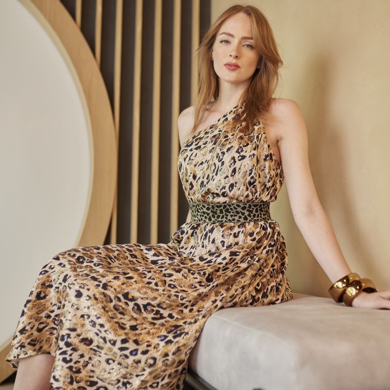 Last Light Animal Print Dress image