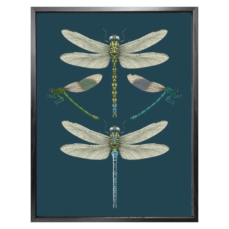 'Dragonflies & Damselflies - Navy' Fine Art Print A5 image